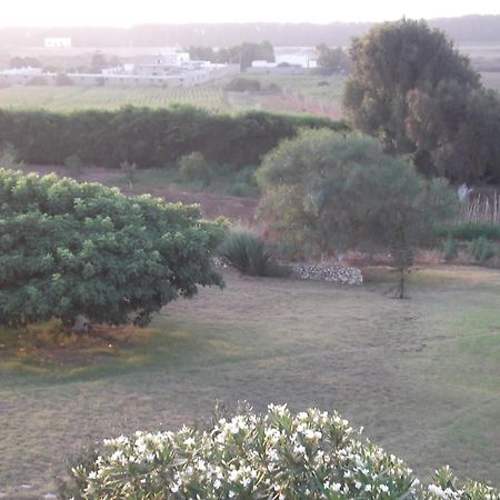 Hotel Dar Al Manar Džadída Exteriér fotografie