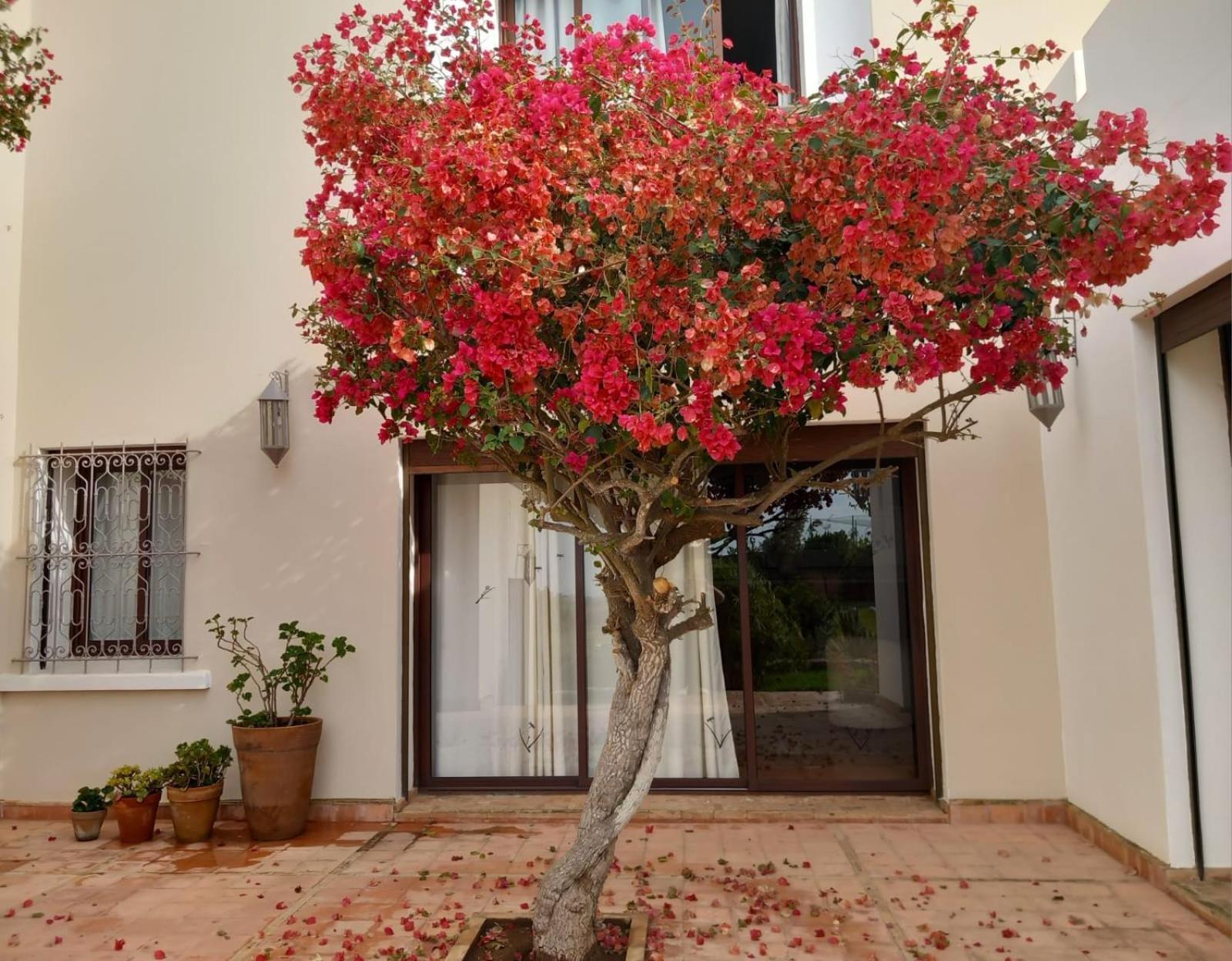 Hotel Dar Al Manar Džadída Exteriér fotografie